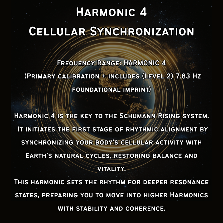Harmonic 4 - The 4th Key - Black "Stealth" Edition - Silicone Sportsband